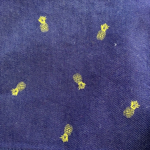 NWT Pineapple Printed Shorts From Francesca’s Collection - Picture 15 of 15